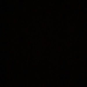 Meet your Posher, Abigail